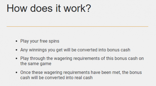 How does free spins bonus work