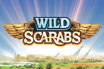 Wild Scarabs